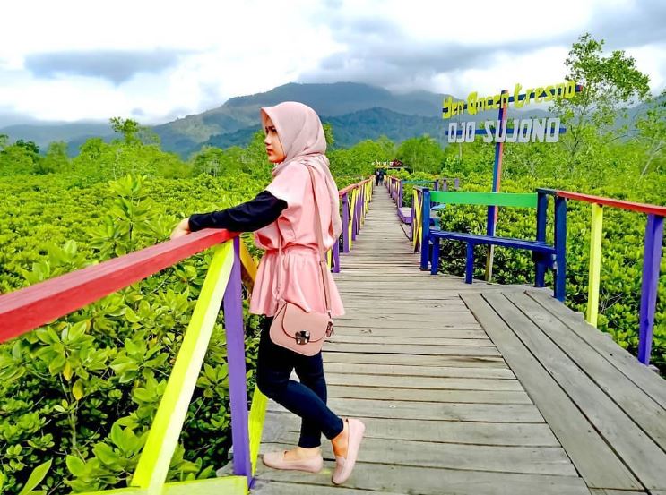 Hutan Mangrove Pantai Cengkrong Trenggalek.