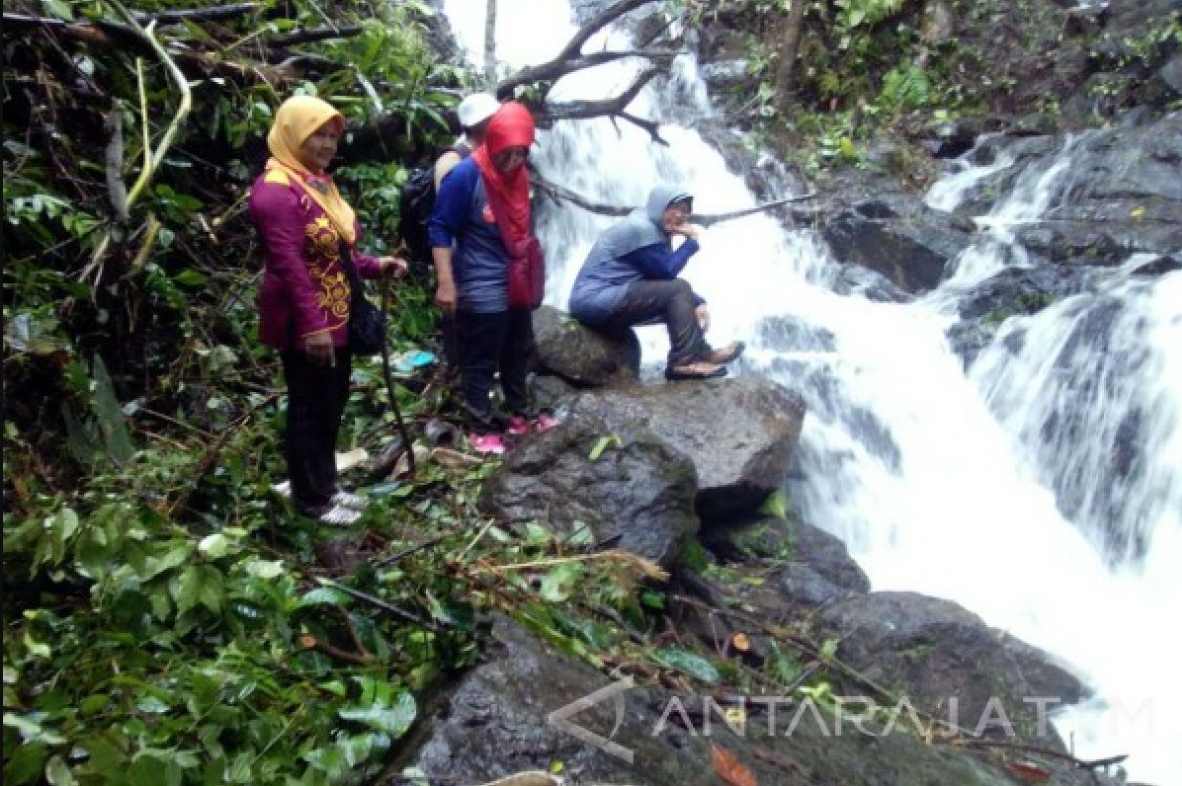 Air Terjun Tawon