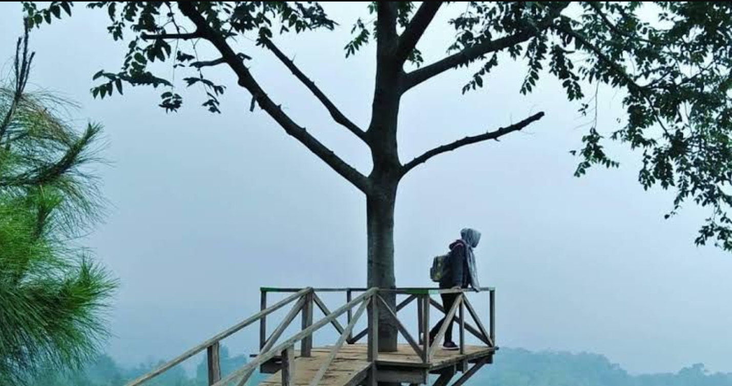 Wisata alam Pacet makin lengkap! Dari hutan pinus hingga glamping kekinian, semua ada buat kamu yang butuh liburan adem dan santai.