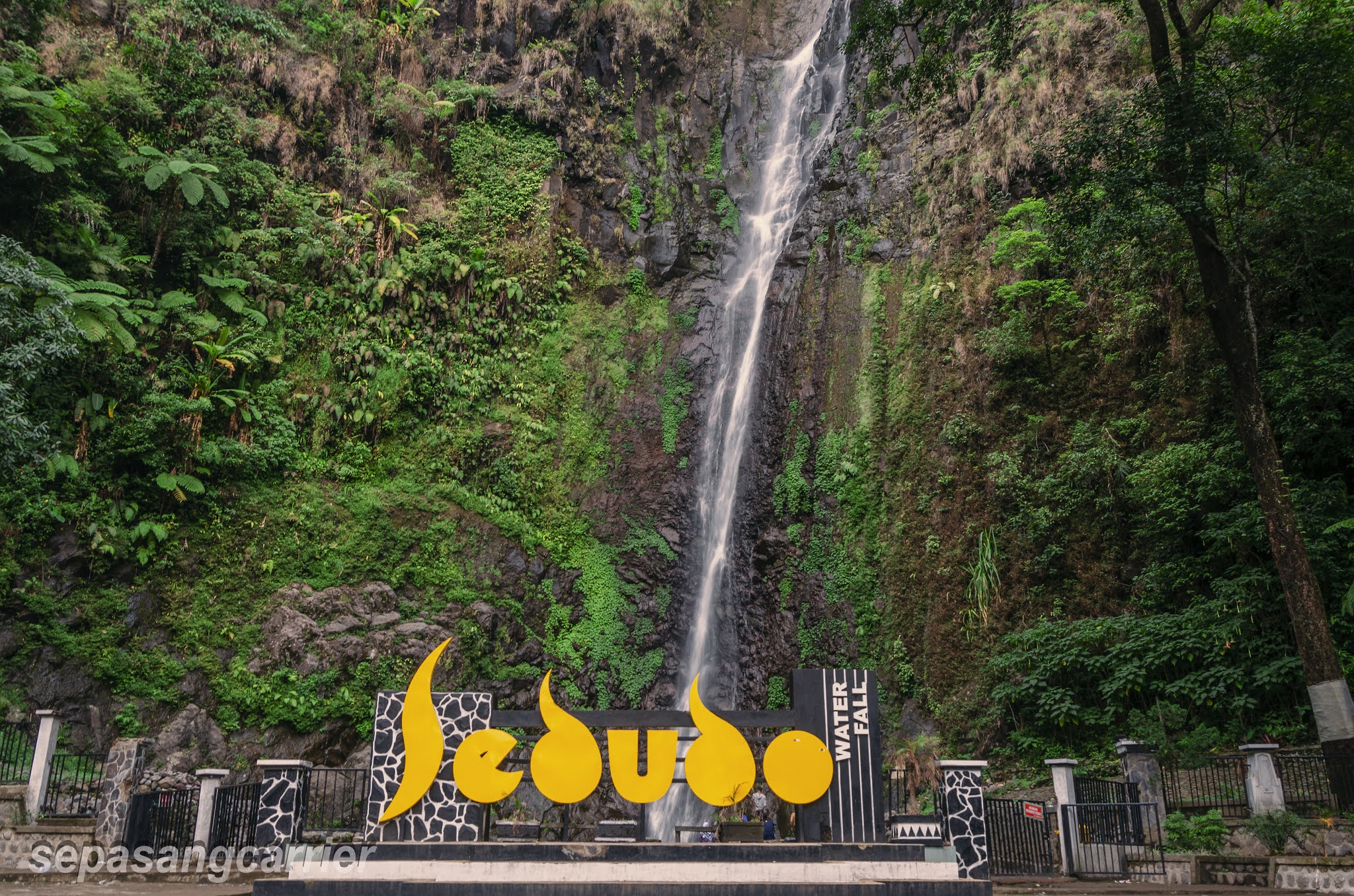 Air Terjun Sedudo di Nganjuk
