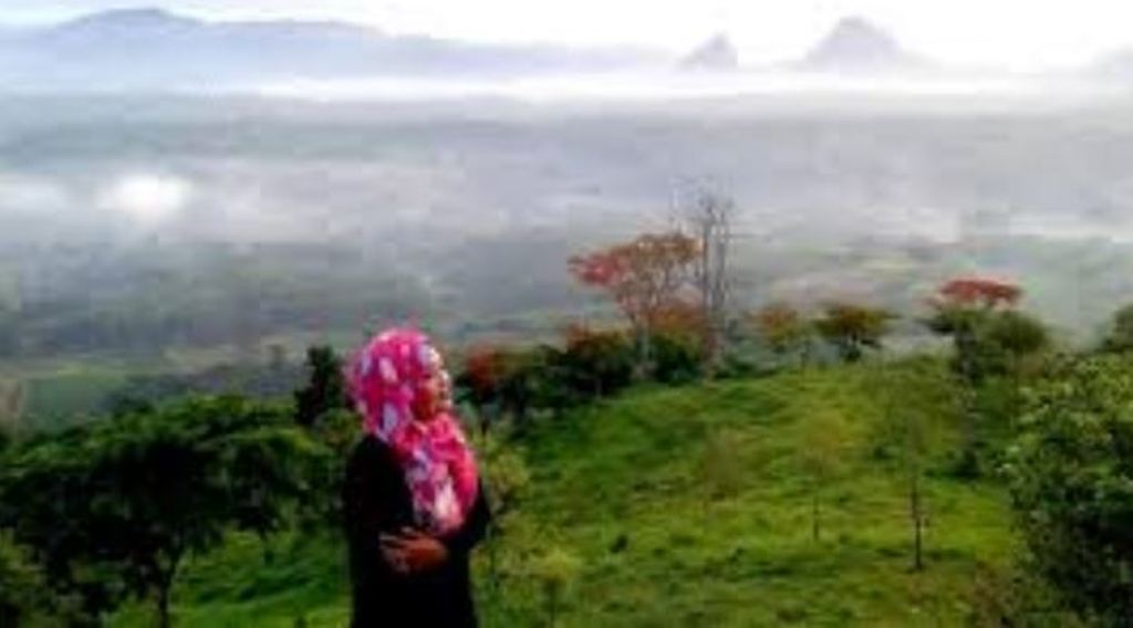 Rekomendasi wisata terbaik di Bojonegoro.