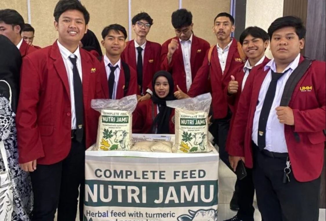 Mahasiswa UMM kembangkan pakan herbal Nutri Jamu untuk ternak, sehat, bebas bahan kimia, dan kurangi ketergantungan impor.
