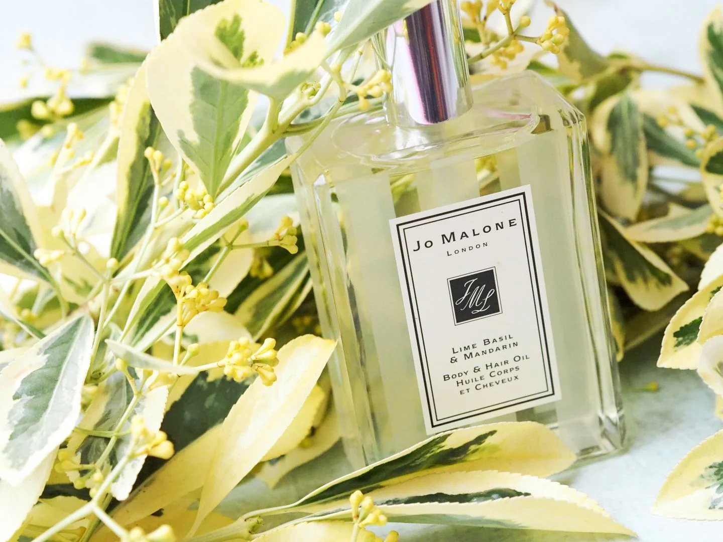 Ilustrasi Jo Malone Lime Basil & Mandarin