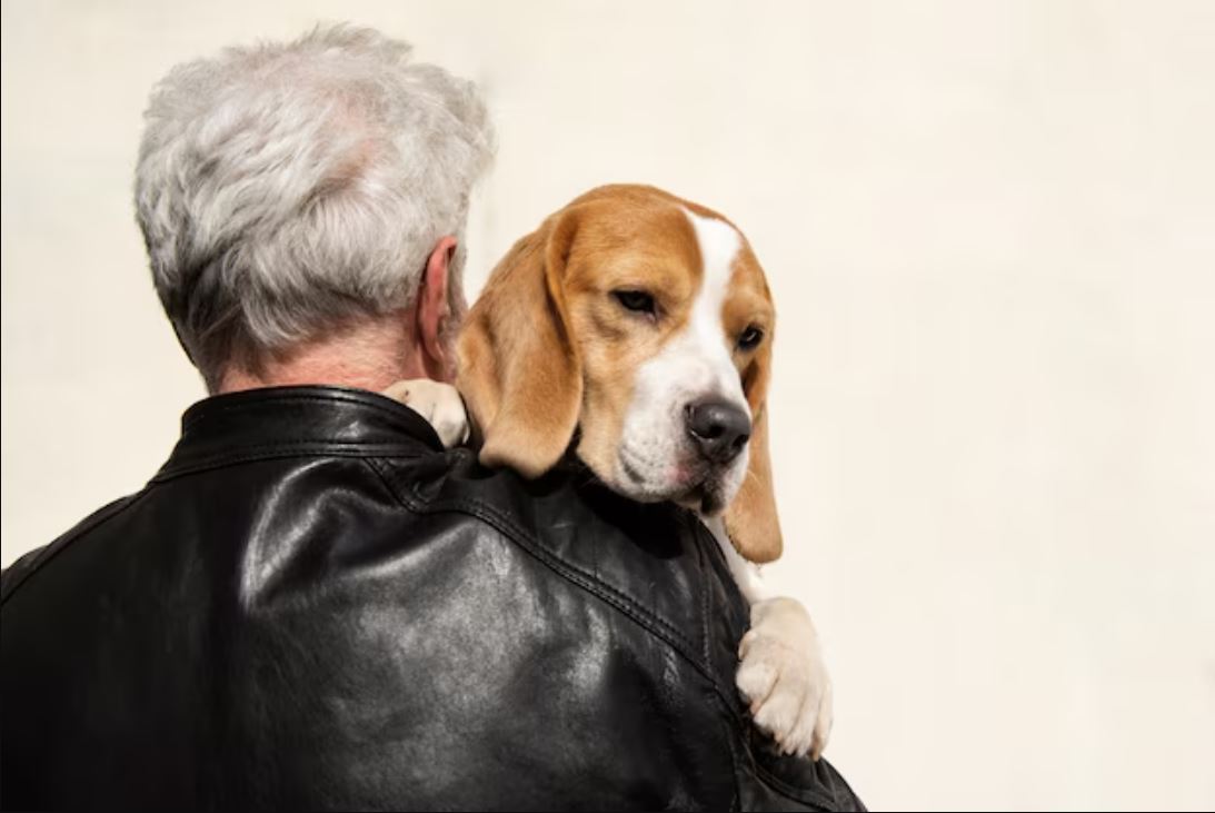Memelihara anjing bagi Muslim punya syarat; pahala atau dosa tergantung tujuan dan perlakuan terhadap hewan.