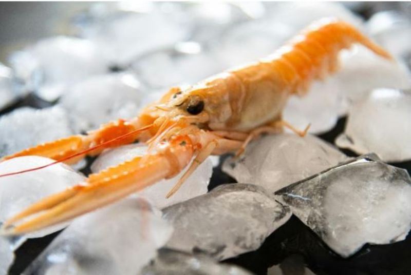 Produk udang beku asal Indonesia dilarang dikonsumsi di Amerika Serikat.