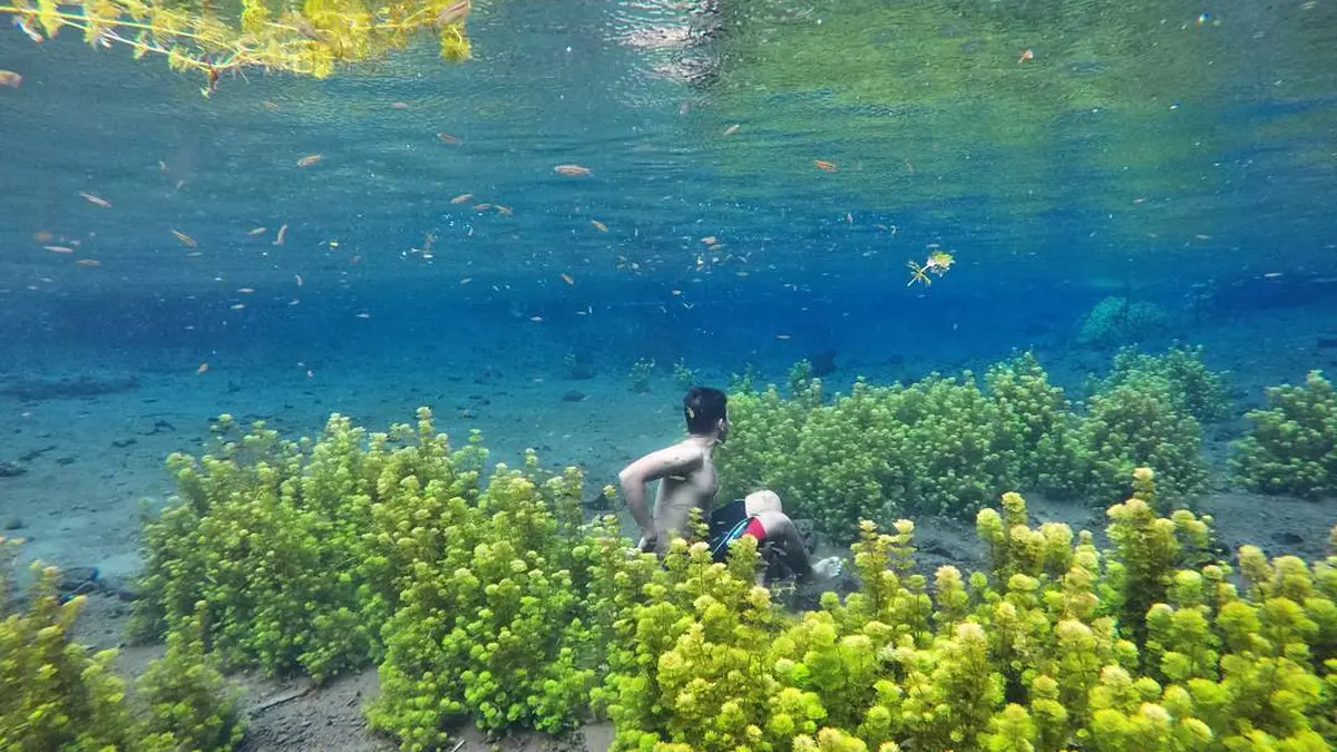 Sumber Sira, Malang