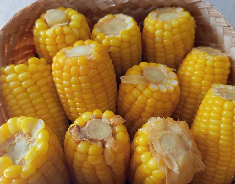 Manfaat jagung rebus.