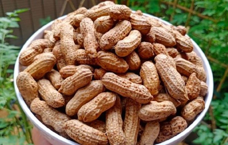 Manfaat kacang rebus untuk kesehatan.