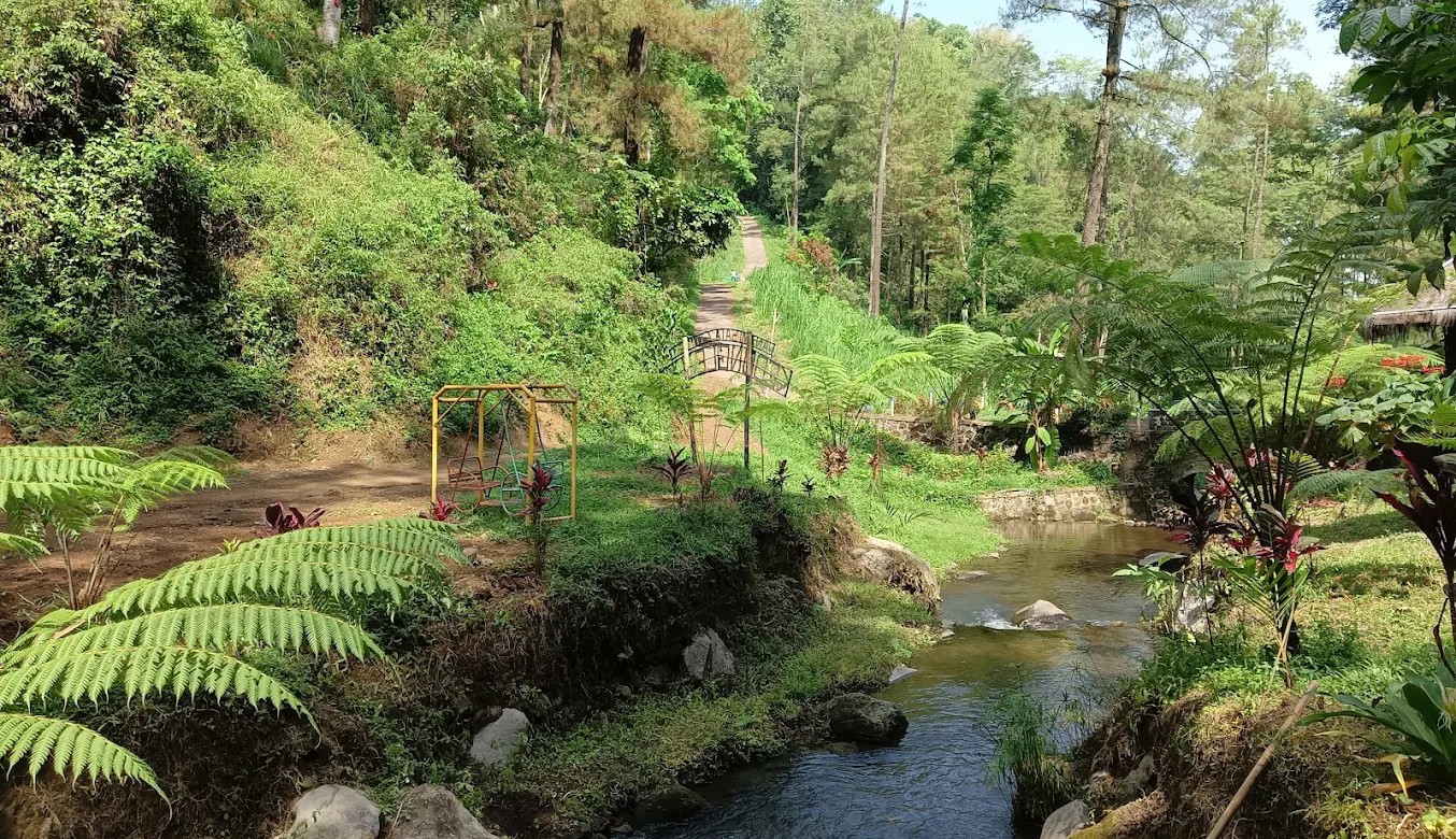 Kedung Lesung, Pesona Wisata Alam Tersembunyi di Ngawi