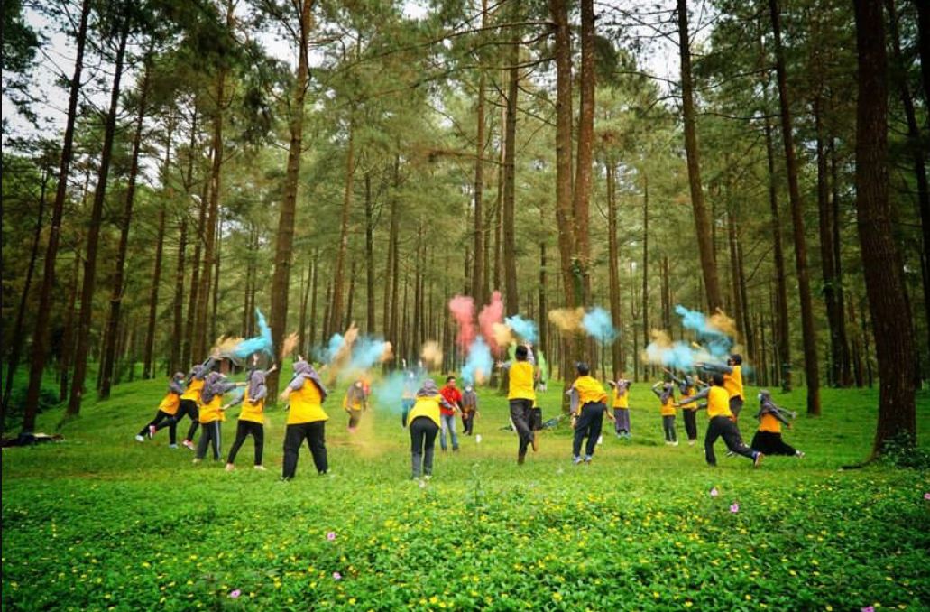 Hutan Pinus Limpakuwus di Banyumas terkenal dengan udara sejuk dan deretan pohon pinus menjulang tinggi.