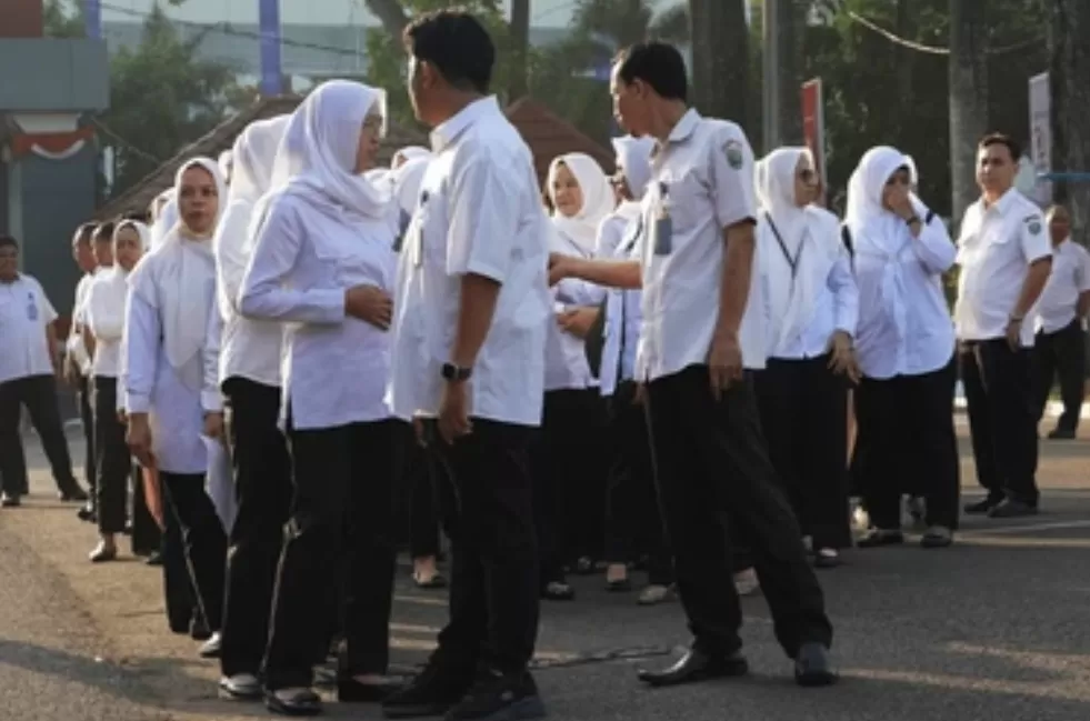 pppk 2025