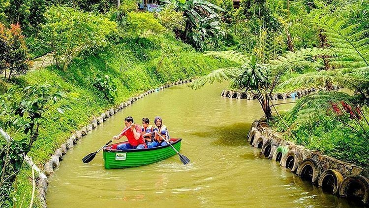 Dago Dream Park