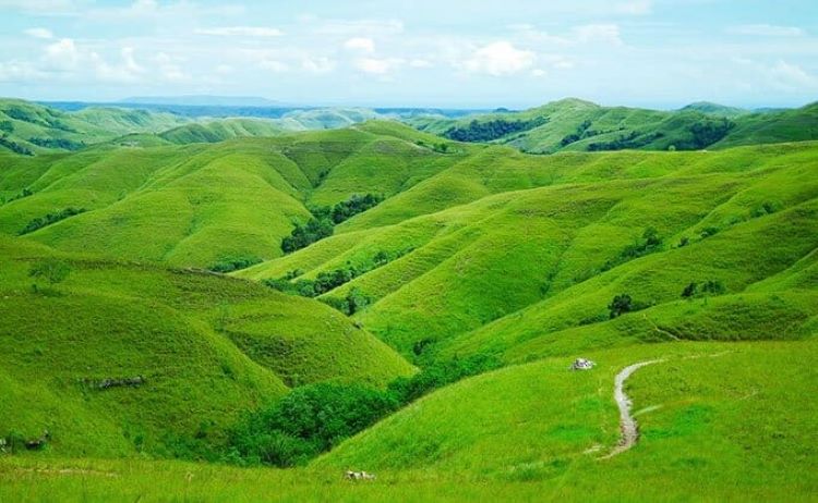Pesona Bukit Teletubbies:yang Mencuri Perhatian.