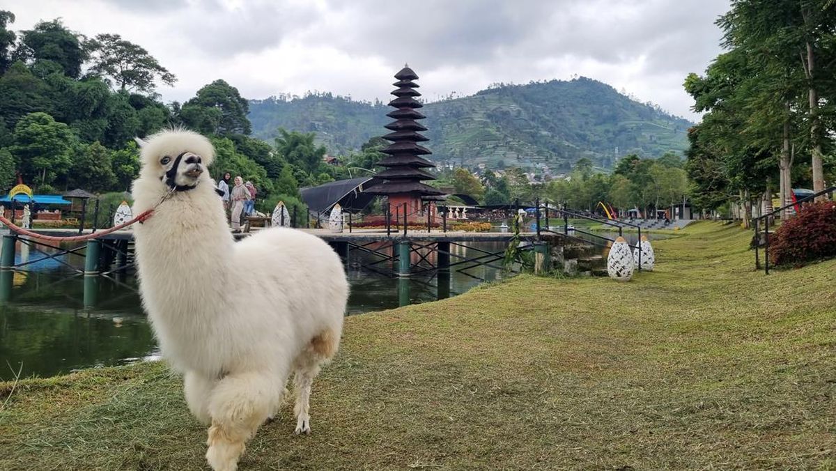 Taman Lembah Dewata