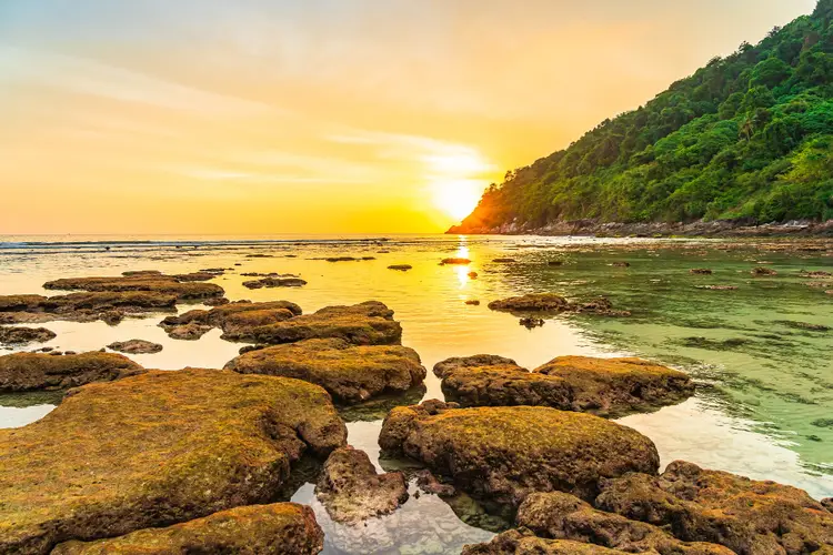 Ilustrasi Pantai Karang Payung