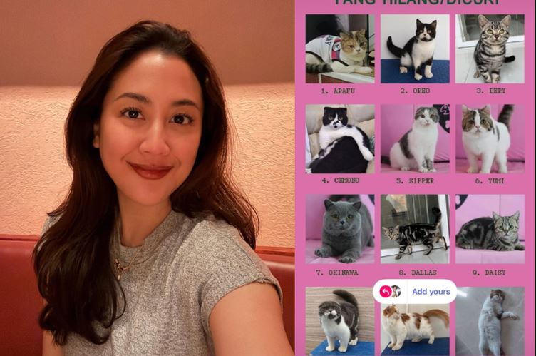 Sherina Munaf selamatkan kucing Uya Kuya pasca penjarahan, tubuhnya kurus dan stres.