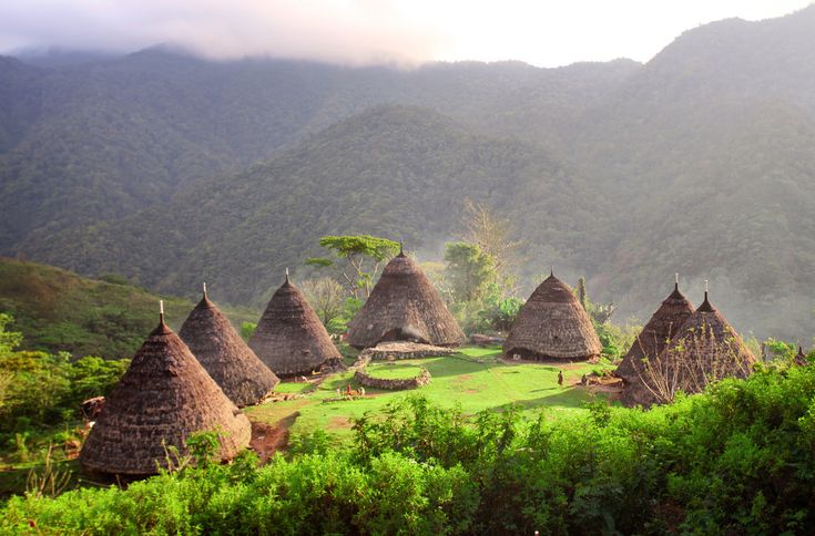 Desa Wisata Wae Rebo Rumah Adat di Atas Awan Flores