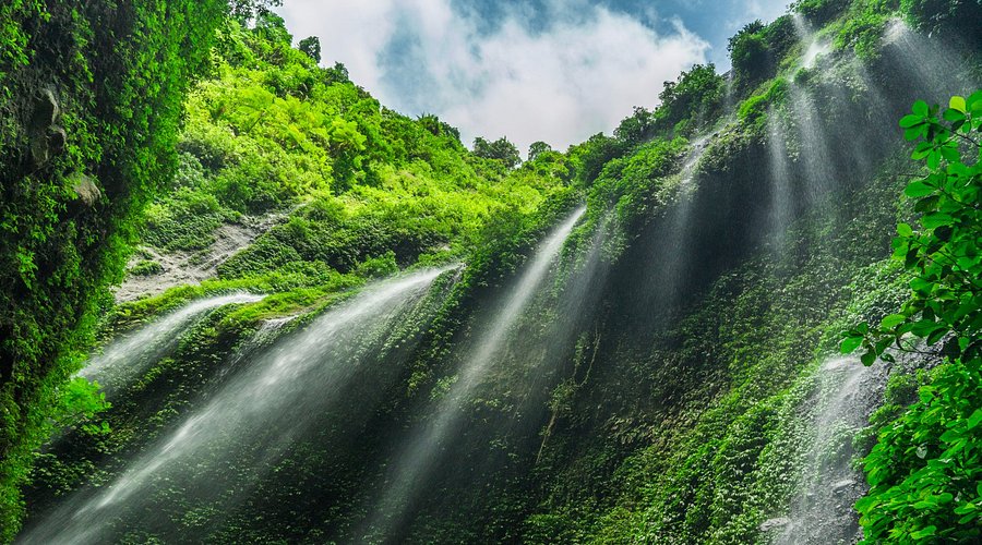 Ilustrasi Madakaripura Waterfall