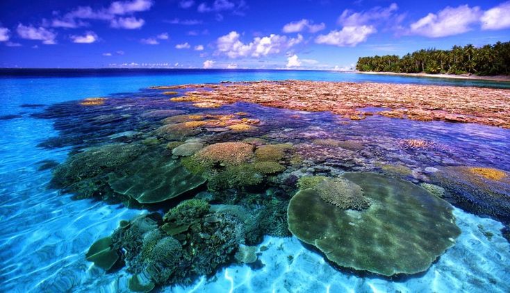 Pulau Bunaken, Manado, Sulawesi Utara