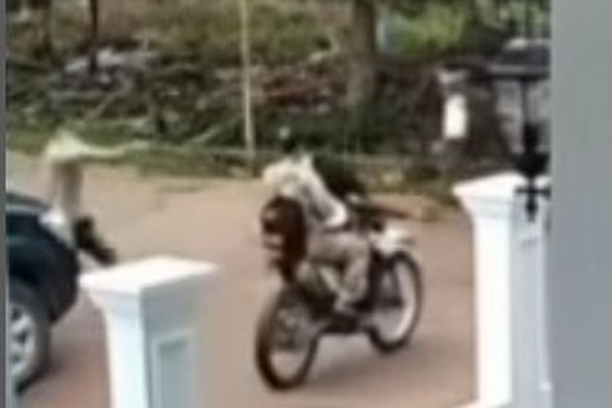 ditembak oleh temannya sendiri
