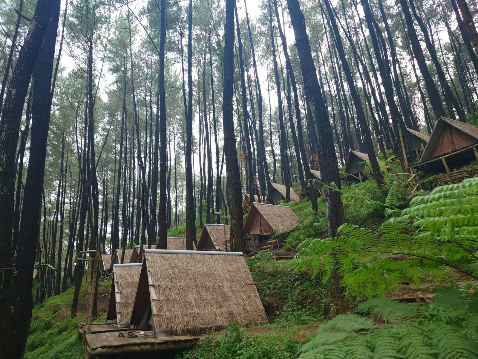 Omah Gubuk Klurak Ecopark
