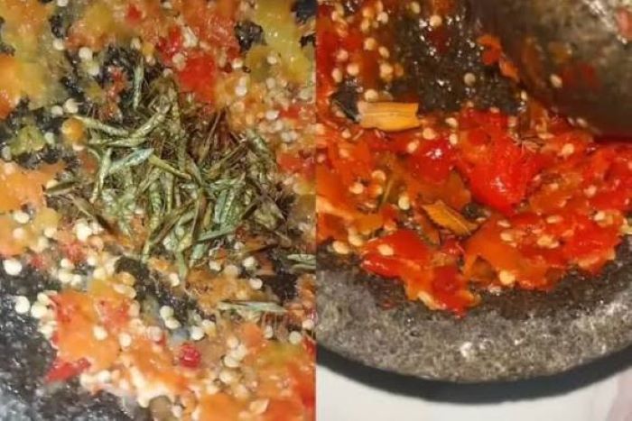 sambal beser kuliner khas gunungkidul yang menggunakan walang sangit sebagai andalan bumbu racikan sambal.