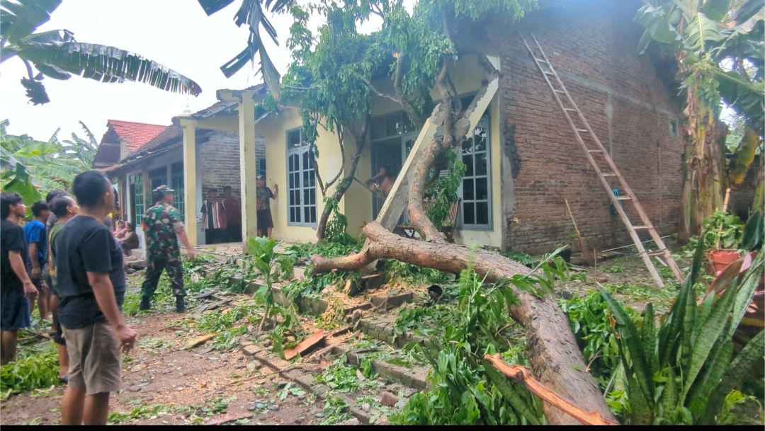 Pohon tumbang timpa rumah warga di Desa Nglambangan Wungu Kab Madiun.