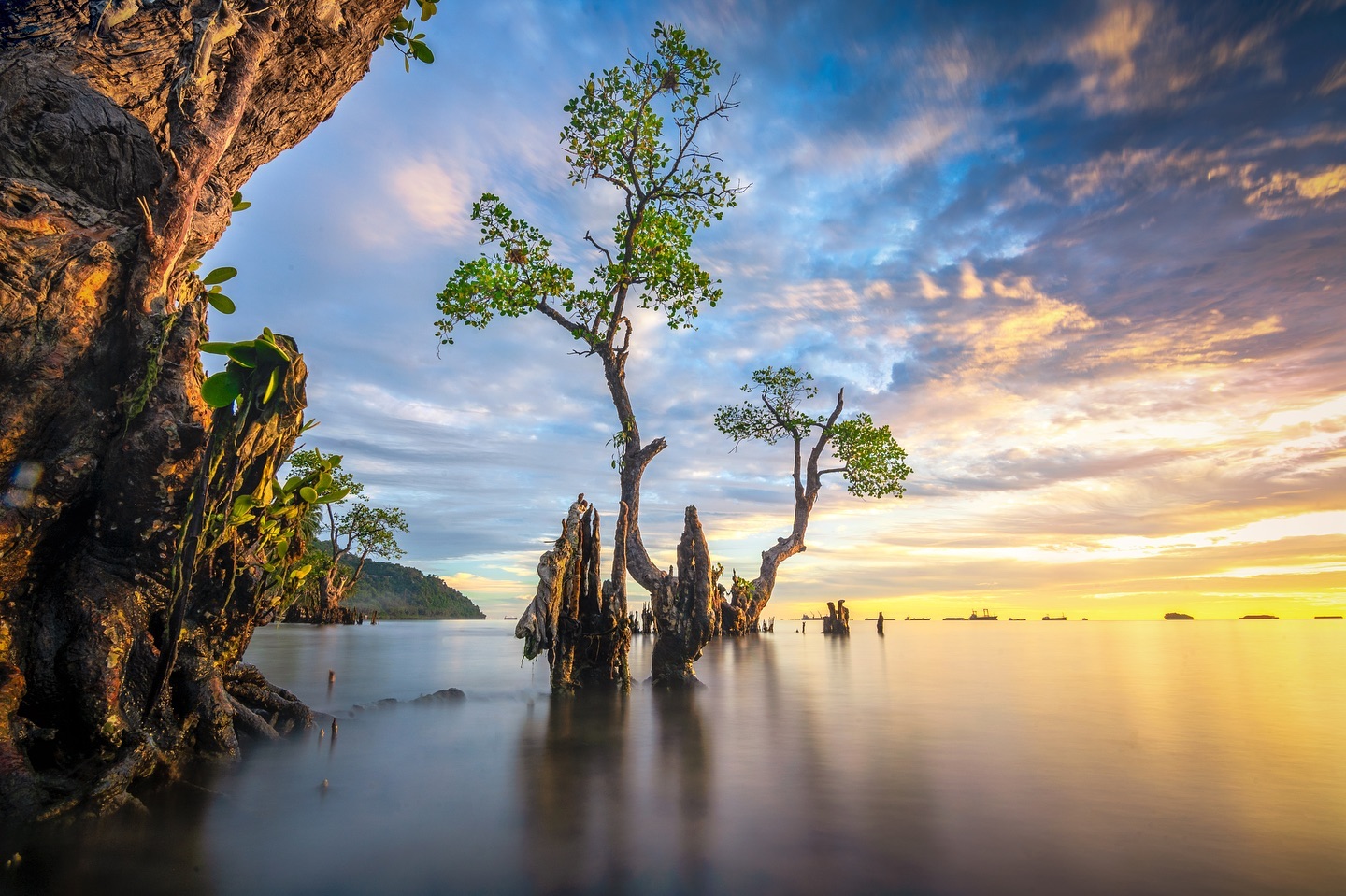 Ilustrasi  Pantai Nirwana