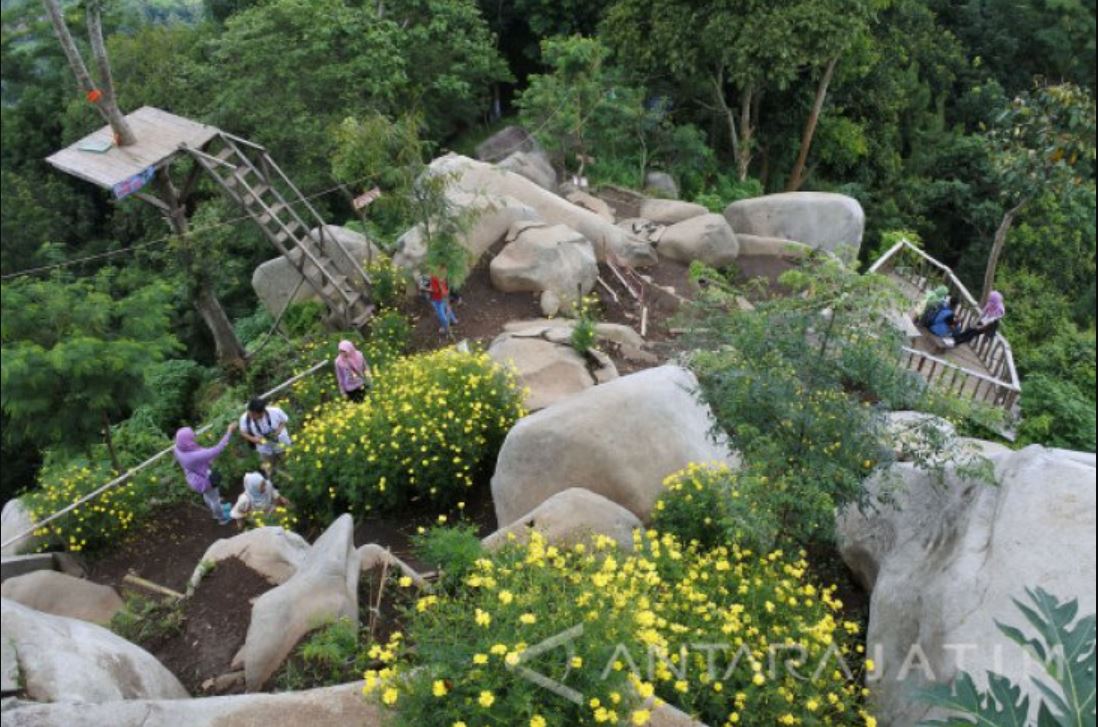 Bukit SJ 88 dikenal sebagai salah satu spot wisata paling Instagramable di Jember.