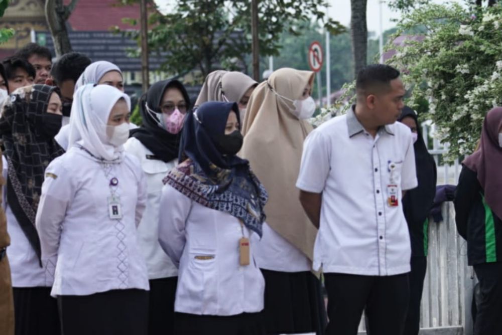 honorer daerah ini nyesek
