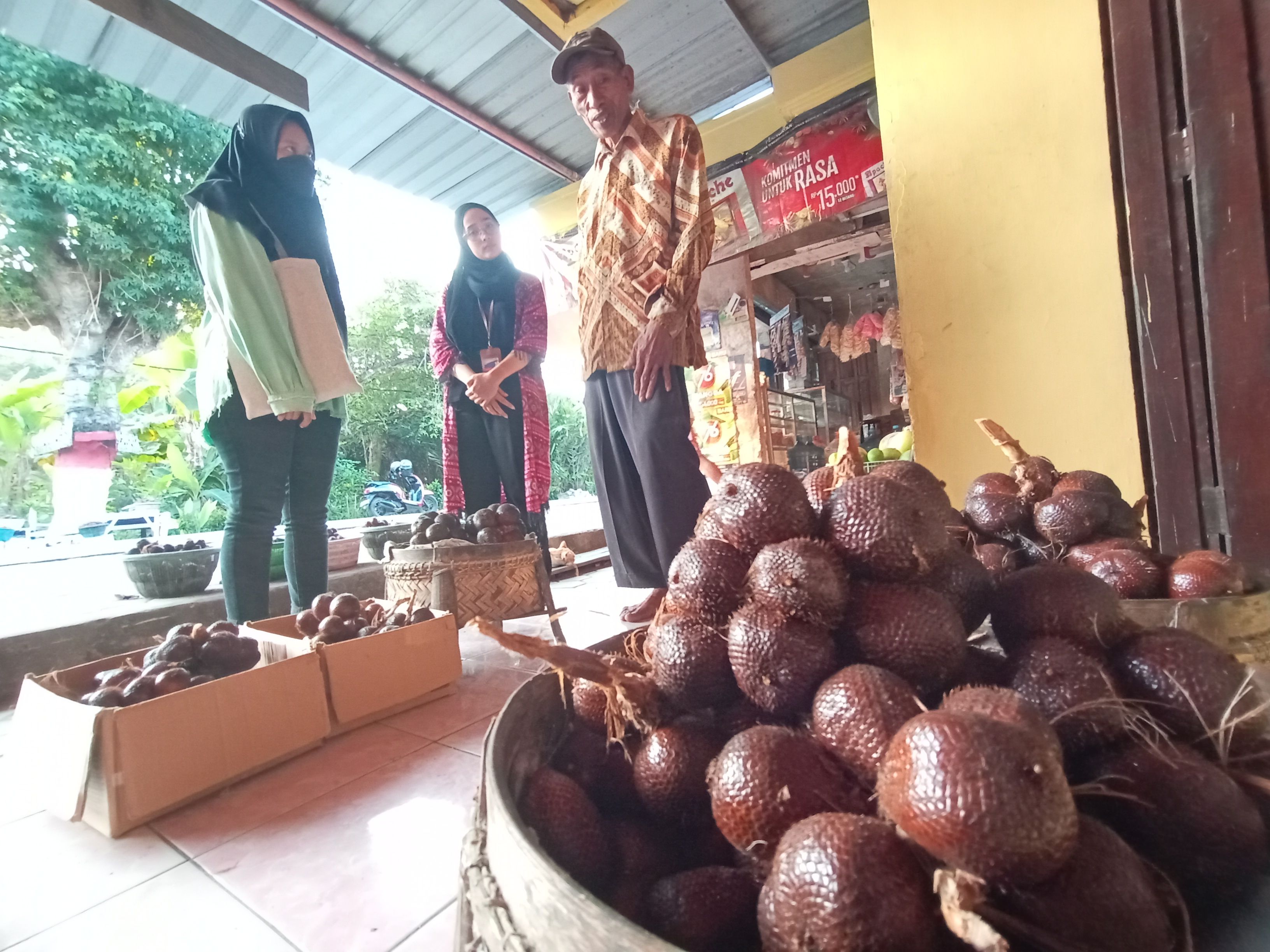 agrowisata kebun salak wedi yang bojonegoro ramai dikunjungi wisatawan