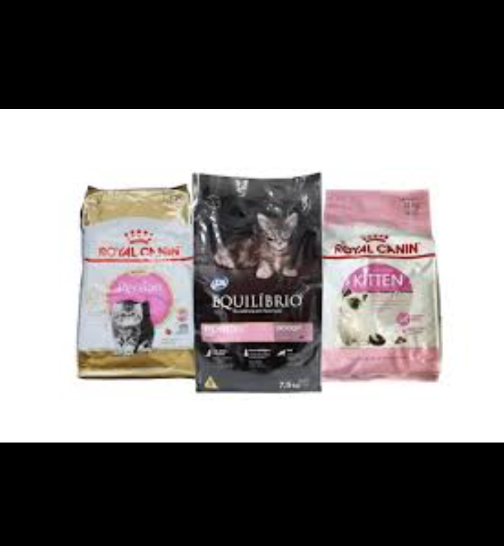 Dry Food Kucing Kitten Terbaik. Dok. Istimewa