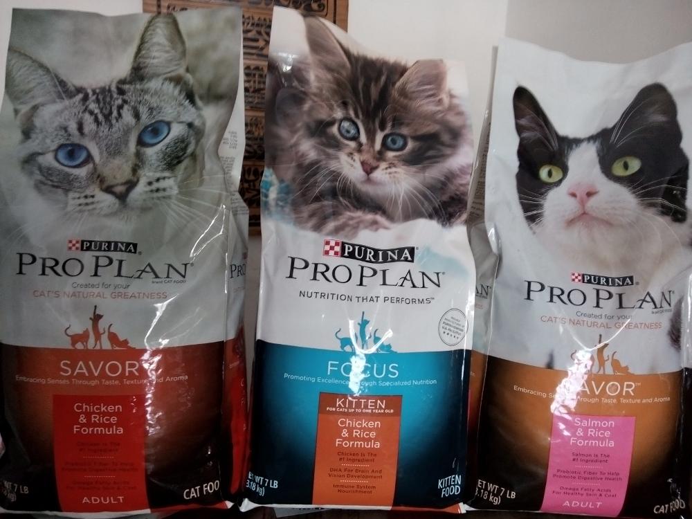 Makanan Kucing Dewasa untuk Bulu Lebat dan Halus.