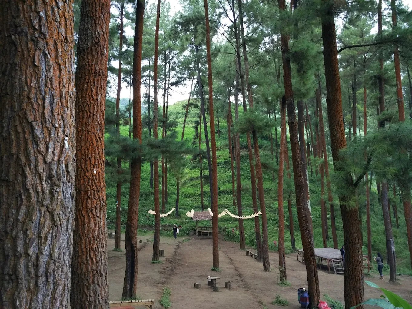 wisata beruk mountain, wisata mendaki dengan suasana hutan dan alam yang asri