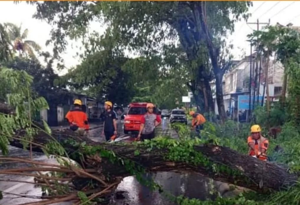 Cuaca ekstrem melanda wilayah Kecamatan Praya, Kabupaten Lombok Tengah, Nusa Tenggara Barat. (Sumber: Lombok Pos)