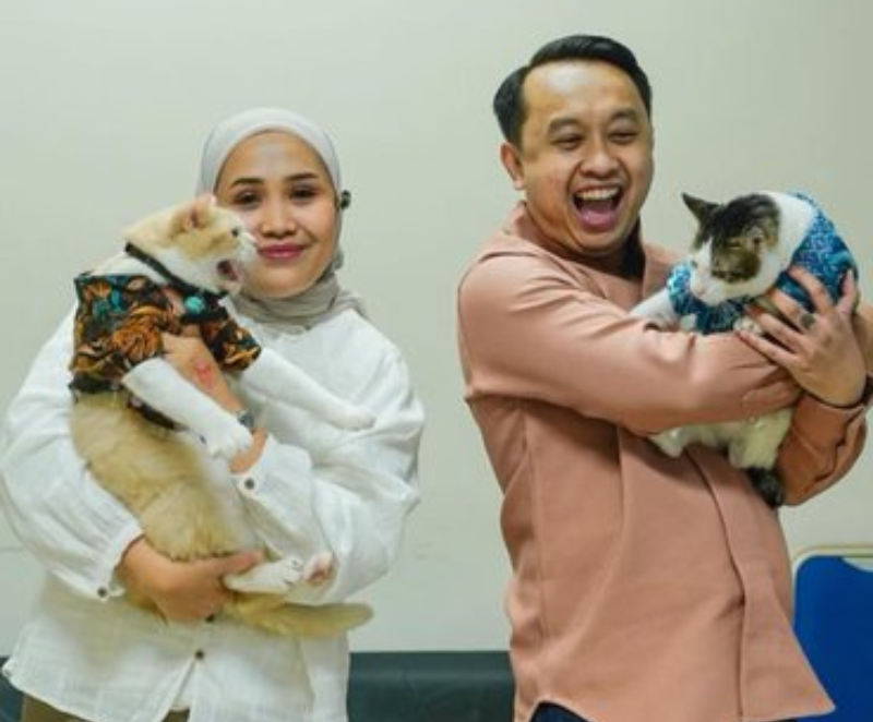 Kucing Pororo Nabok Kucing No 1 di Indonesia 9 Bobby Kertanegara)