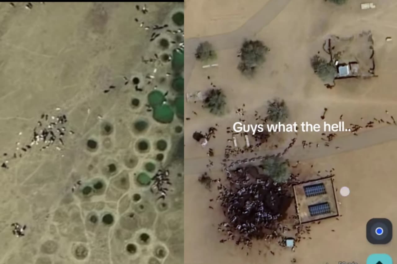 viral ditiktok tumpukan mayat yang terlihat dari satelit diduga dari google earth.