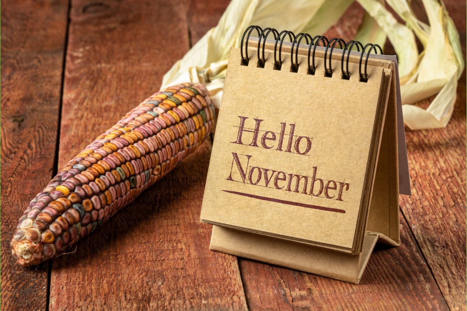 Ilustrasi Kalender November (Sumber: Istimewa)