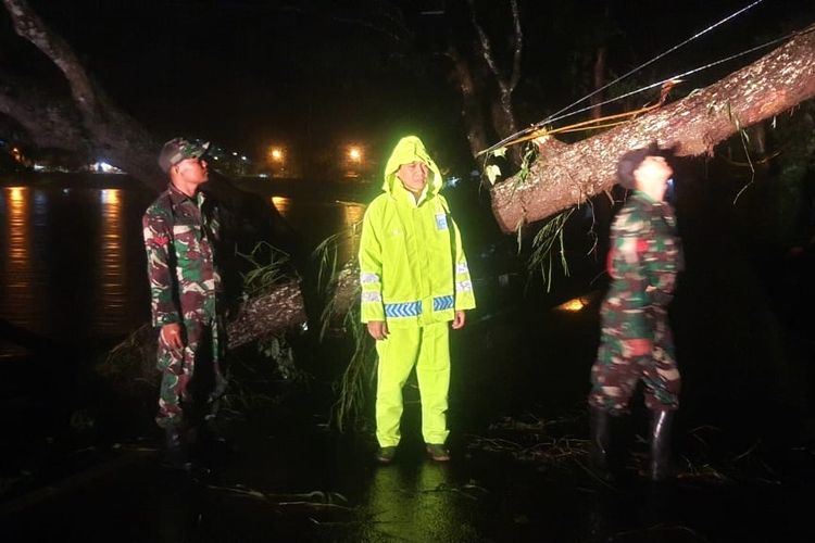 Hujan deras dan angin kencang di Ngebel, Ponorogo, sebabkan dua pohon tumbang dan tutup akses menuju Telaga Ngebel. Wisatawan terjebak (Sumber: DOK. Kapolsek Ngebel)