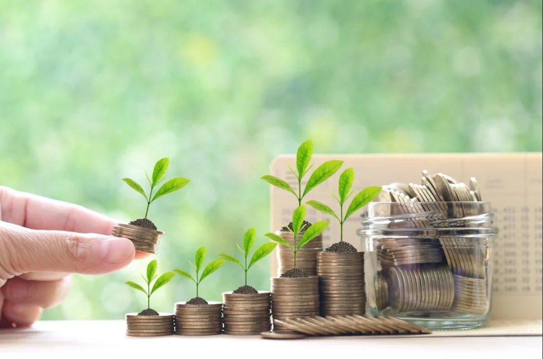 Bagi investor pemula, reksa dana pasar uang dan obligasi pemerintah (SBN) bisa menjadi pilihan yang aman dan stabil.