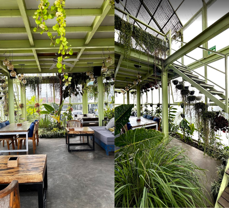 Area Green House di Kintamani Eco Bike Coffee.