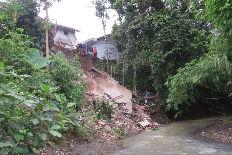 Bencana longsor di bantaran sungai Kaliwates merobohkan satu rumah warga, memicu kepanikan pada Minggu siang (9/11/2025). (Sumber: ANTARA)