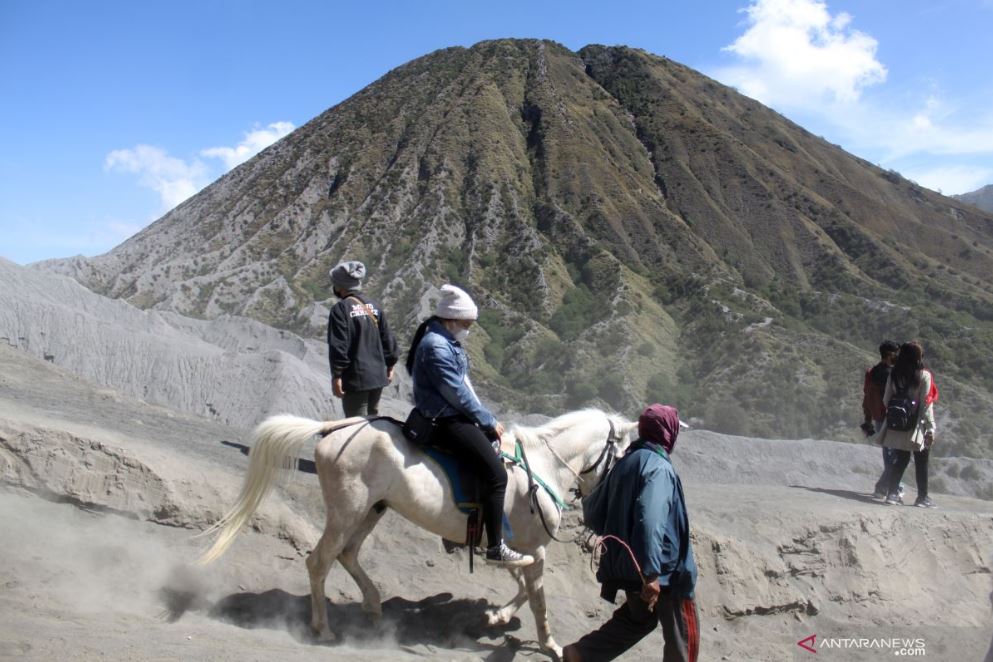 Nikmati udara sejuk dan panorama indah di 5 wisata alam Probolinggo yang bikin hati tenang dan pikiran segar. Salah satunya Gunung Bromo,