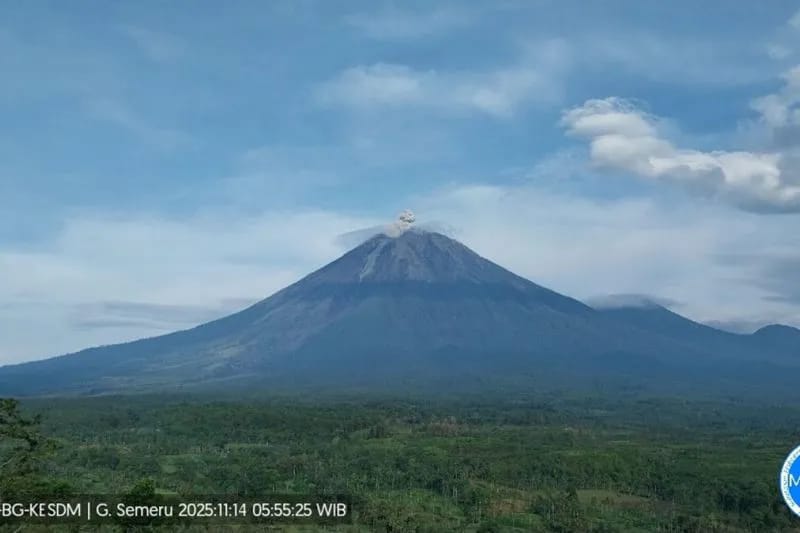 Gunung Semeru Erupsi Pukul 05.55 WIB, Jumat 14 November 2025. Kolom Abu Capai 800 Meter di Atas Puncak. (Sumber: ANTARA/HO-PVMBG)