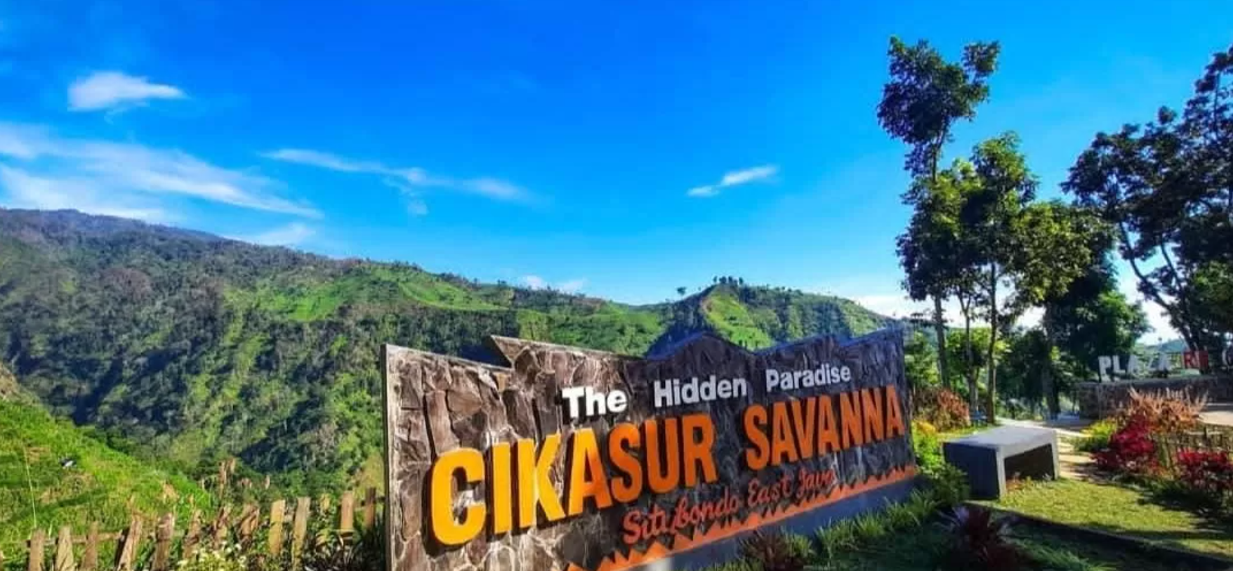 7 destinasi hits di Situbondo wajib dikunjungi untuk liburan akhir tahun, dari pantai eksotis hingga gunung menawan dan savana luas.&nbsp;
