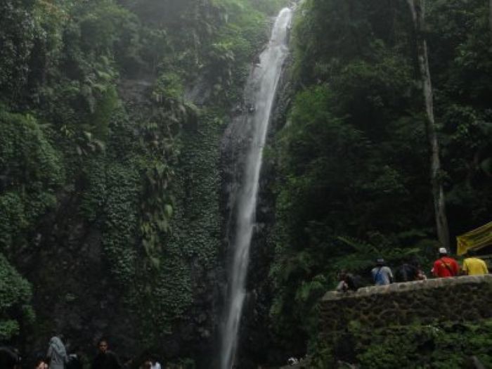 Pesona Air Terjun Kakek Bodo setinggi 40 di Pasuruan Jawa Timur.