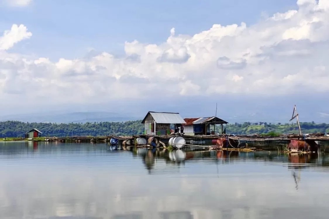 Danau Ranu Grati, pesona alam dengan latar Pegunungan Tengger