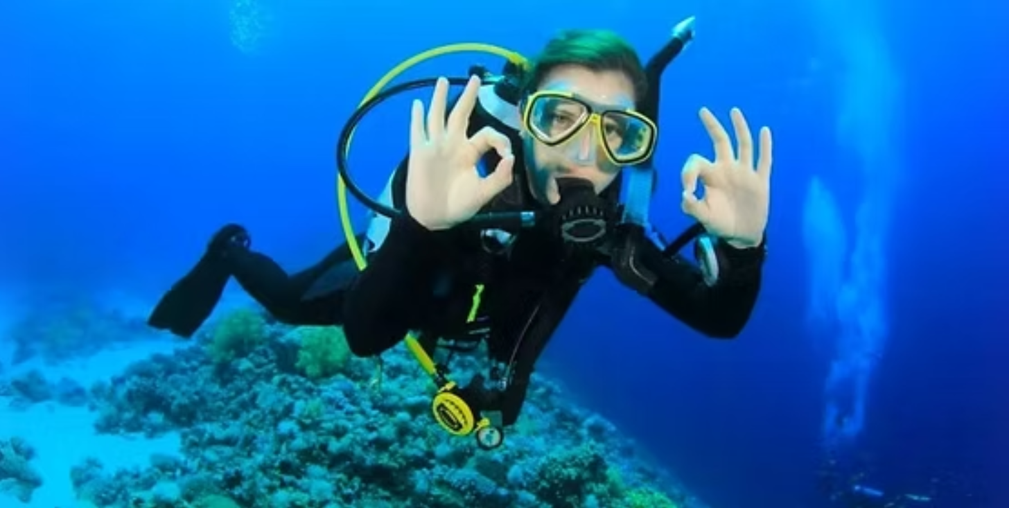 Rekomendasi perlengkapan free diving terbaik untuk pemula. Pilih gear yang aman, nyaman, dan paling worth it untuk mulai latihan.