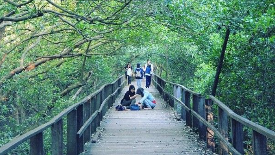 Hutan Mangrove Morosari