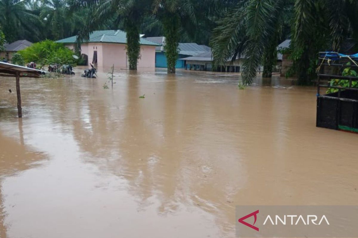 Banjir dan Longsor Melanda 11 Kecamatan di Tapanuli Selatan